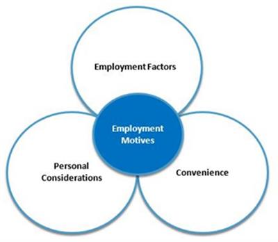 Investigating the employment motivation, job satisfaction, and dissatisfaction of international high school teachers in China: the impact of the COVID-19 pandemic